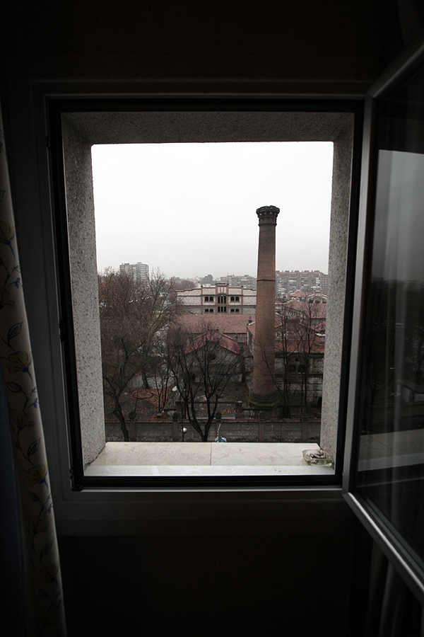 IMG_8795.jpg