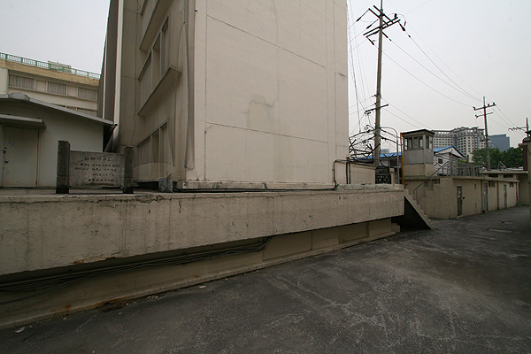 IMG_989ki9iuyt88.jpg