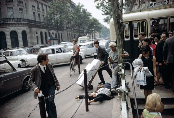 meyerowitz_fallen-721855.jpg